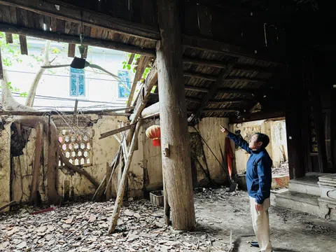 Phú Thọ: Hãy cứu lấy đình Hiển Lễ - Di tích lịch sử nay chỉ còn lại phế tích