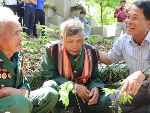 Quảng Ngãi: Trao tặng sâm giống Ngọc Linh cho thanh niên khởi nghiệp