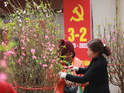 Ngày 1/2: Bắc Bộ và Bắc Trung Bộ rét đậm, biển động mạnh