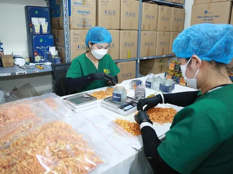 Phú Thọ: Bứt phá bằng khoa học công nghệ, kiến tạo không gian phát triển mới