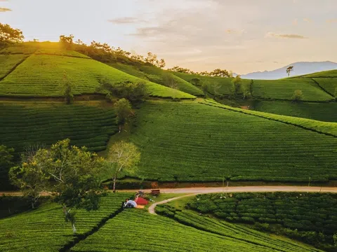 Phú Thọ: Long Cốc - “Bồng lai tiên cảnh mỗi sớm mai” - thu hút du khách