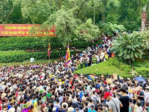 Phú Thọ: Sở Văn hóa Thể thao và Du lịch triển khai nhiệm vụ trọng tâm quý II/2026