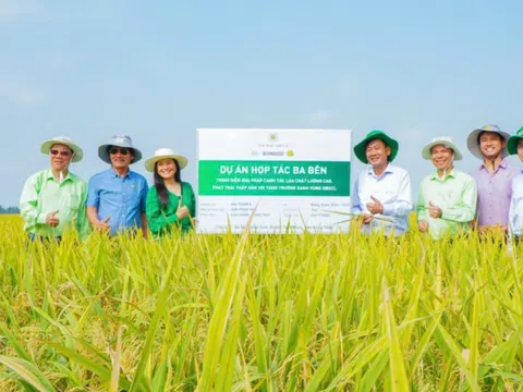 Góc nhìn văn hoá: “Canh nông vi bản” trong thời đại mới - Từ nền tảng truyền thống đến động lực phát triển bền vững