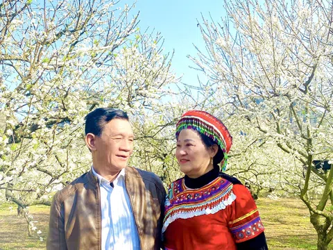 Hạnh phúc là sự thấu hiểu và ý thức vun đắp mỗi ngày