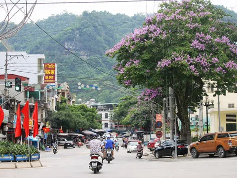 Thành phố Hà Giang mùa hoa Bằng lăng