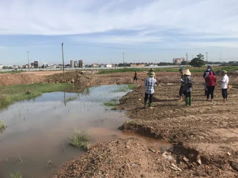 Vĩnh Phúc: Vĩnh Tường sẽ giải phóng mặt bằng phần diện tích còn lại để thực hiện dự án Khu đô thị Tứ Trưng