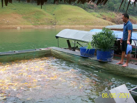 Tuyên Quang: Huyện Lâm Bình phát triển nghề nuôi trồng thủy sản bền vững