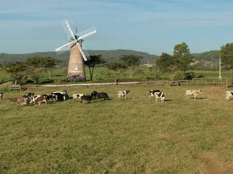 Nắm bắt xu hướng toàn cầu, các quỹ đầu tư tiên phong tìm kiếm cơ hội đầu tư ESG tại Việt Nam