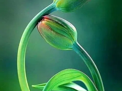 Chỉ tại không có tiền lẻ