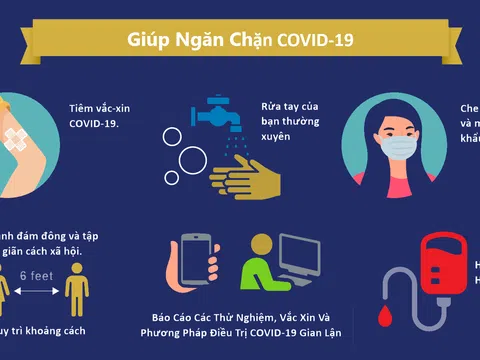 Đại dịch COVID-19 và góc nhìn thích nghi