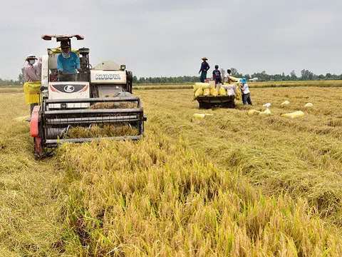 Kiên Giang: Tạo thuận lợi trong lưu thông, tiêu thụ sản phẩm nông nghiệp