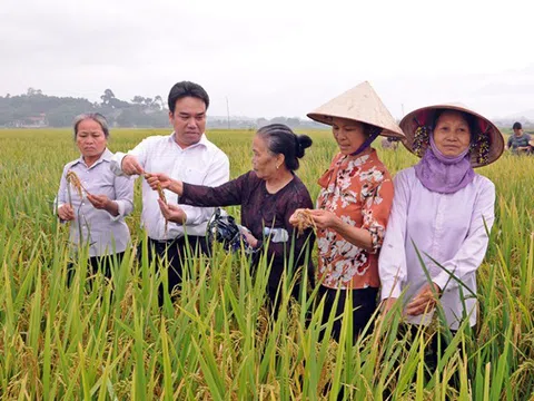 Vĩnh Phúc: Xây dựng nền nông nghiệp toàn diện theo hướng hiện đại ở Lập Thạch