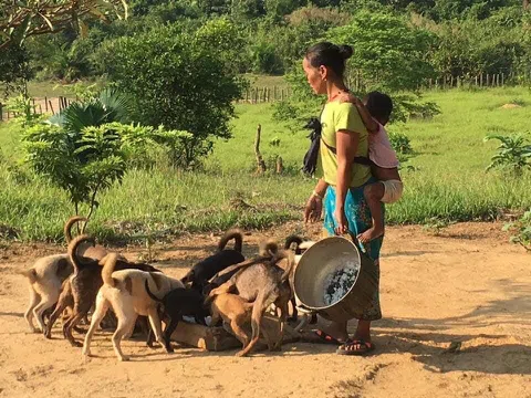 Người mẹ ma coong