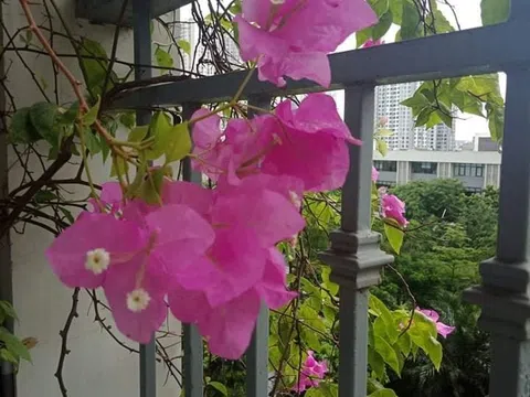 Thanh thản một phần đời