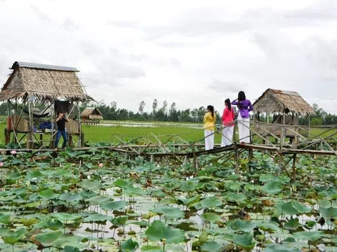 Đồng Tháp Mười