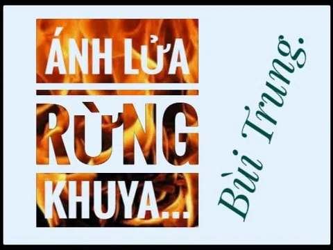 Ánh lửa rừng khuya