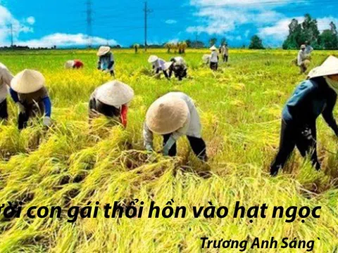 Kiên Giang: Người con gái thổi hồn vào hạt ngọc