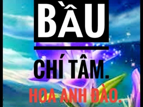 Những ông bầu miền Tây: Bầu Chí Tâm Hoa Anh Đào