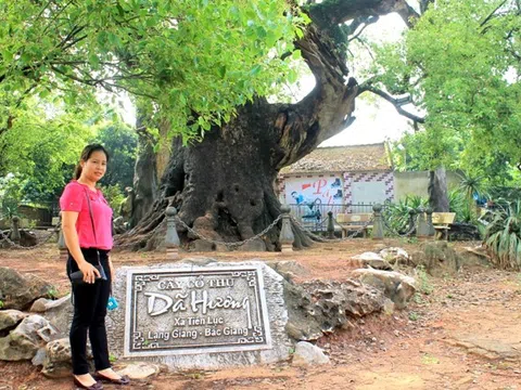 Bắc Giang: "Quốc chúa đô mộc Dã Đại vương" và tam cổ tự ở đất tiên