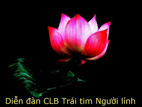 Vĩnh biệt Biên tập viên Diễn đàn Trái tim người lính - Thạc sĩ Nguyễn Thị Minh Ngọc