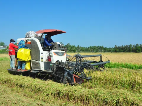 Kiên Giang: Thích ứng an toàn để phát triển kinh tế