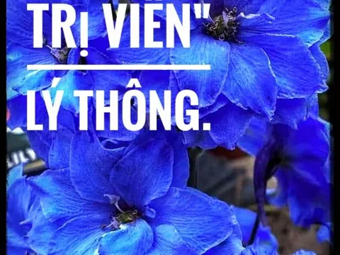 "Chánh trị viên" Lý Thông