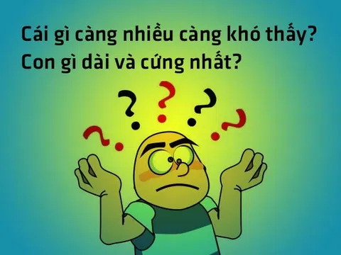 Hiện tượng đồng nghĩa khác dạng và đồng dạng khác nghĩa của câu đố