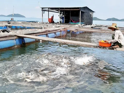 Kiên Giang: Kiên Hải phát huy lợi thế phát triển kinh tế nhanh và bền vững