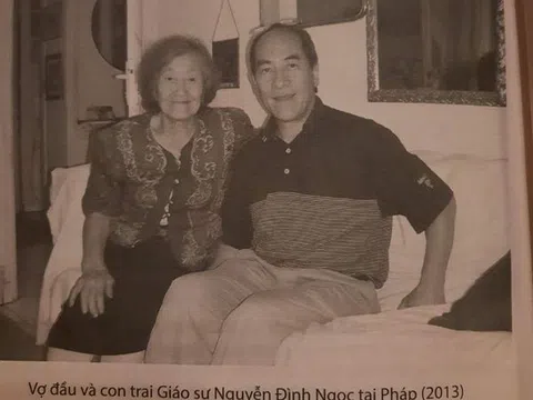 Cuộc đời của nhà tình báo, giáo sư Nguyễn Đình Ngọc: Đơn tuyến (kỳ 2)