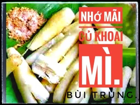 Nhớ mãi củ khoai mì