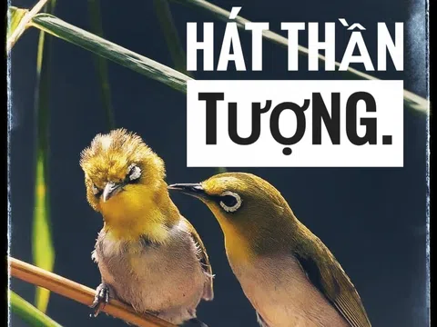 Giọng hát thần tượng