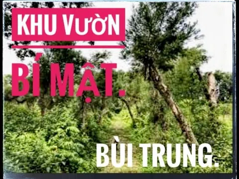 Khu vườn bí mật