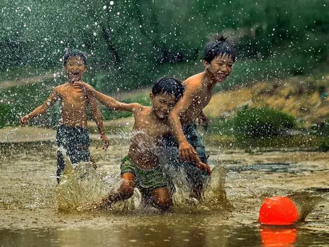 Chuyện những con chạch con lươn