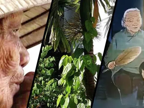 Nhớ lắm! Trầu cau ơi!