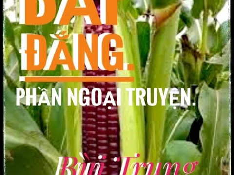 Bắp đắng (Phần ngoại truyện )