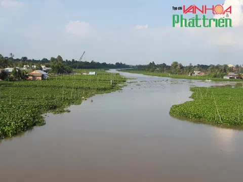 Cho ước mơ bay xa