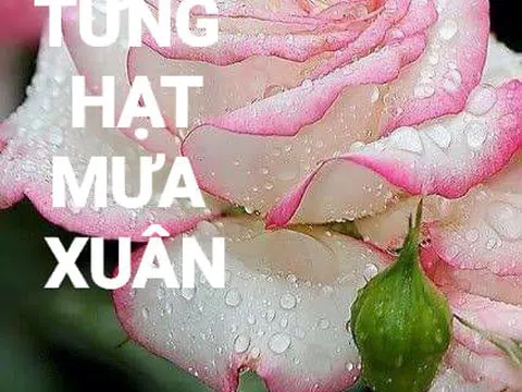 Gom nhặt từng hạt mưa xuân