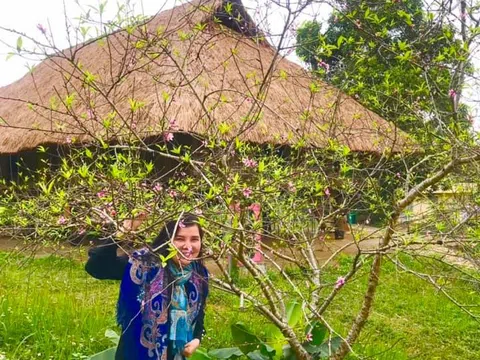 Hoa đào tháng giêng