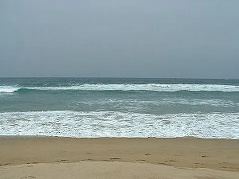 Vị mặn mòi của biển