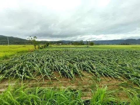 Miền Trung nắng cháy da