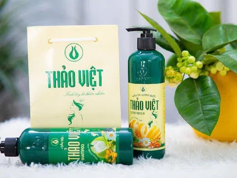 Dầu gội Thảo Việt - Tinh tuý từ thảo dược Việt