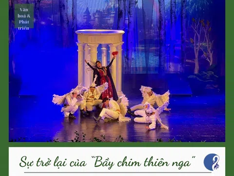 Sự trở lại của “Bầy chim thiên nga”