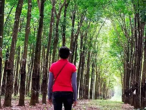 Về thăm chồng cũ