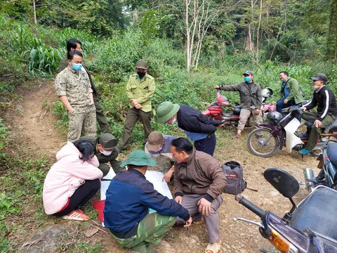 Hà Giang: Dựa vào dân giữ rừng nghiến Phong Quang