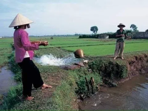 Chỉ vì chiếc gầu giai (Tản mạn chuyện quê)