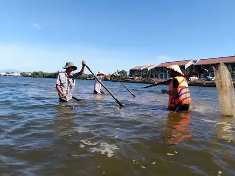 Nghề cào hến