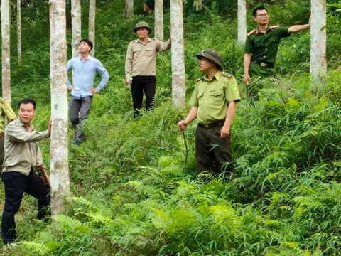 Tuyên Quang: Chiêm Hóa với công tác bảo vệ rừng tận gốc