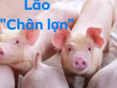 Lão “chân lợn”