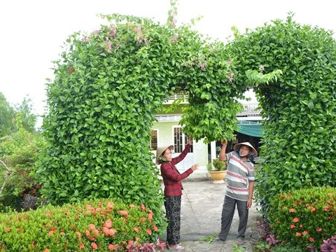 Kiên Giang: Vĩnh Thuận giữ gìn cảnh quan môi trường xanh - sạch -  đẹp và an toàn