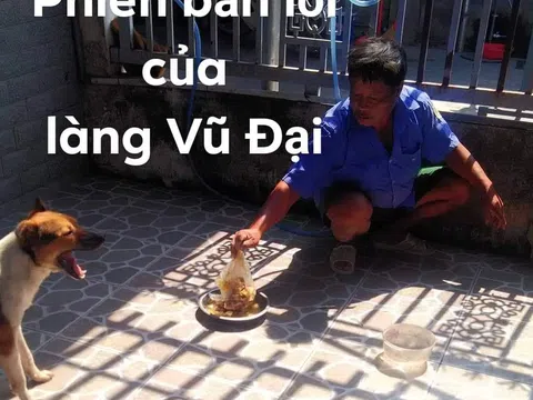 Phiên bản lỗi của làng Vũ Đại